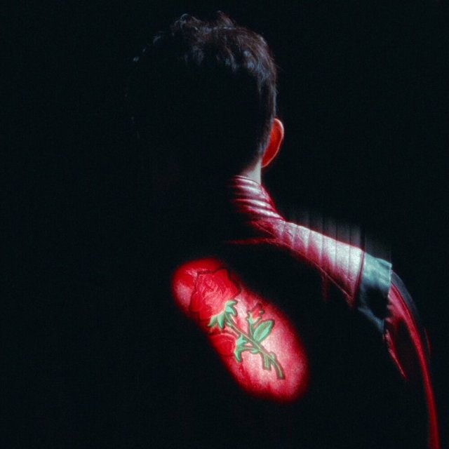 Pochette de Undressed : un homme de dos, un tatouage de rose rouge éclairé sur l’épaule